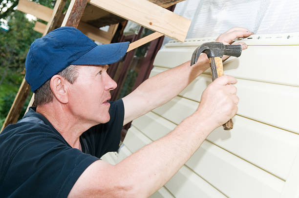 Best Basement Cleanout  in Lone Tree, IA
