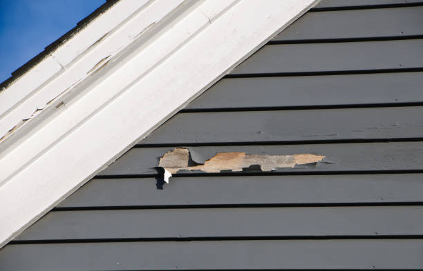 Best Appliance Removal  in Lone Tree, IA